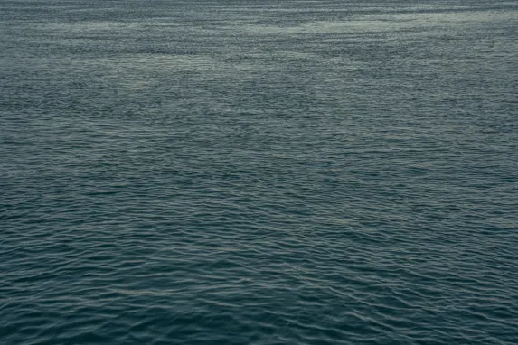 Καζίνο Τζακποτ Μολλυ Υποστηριξη